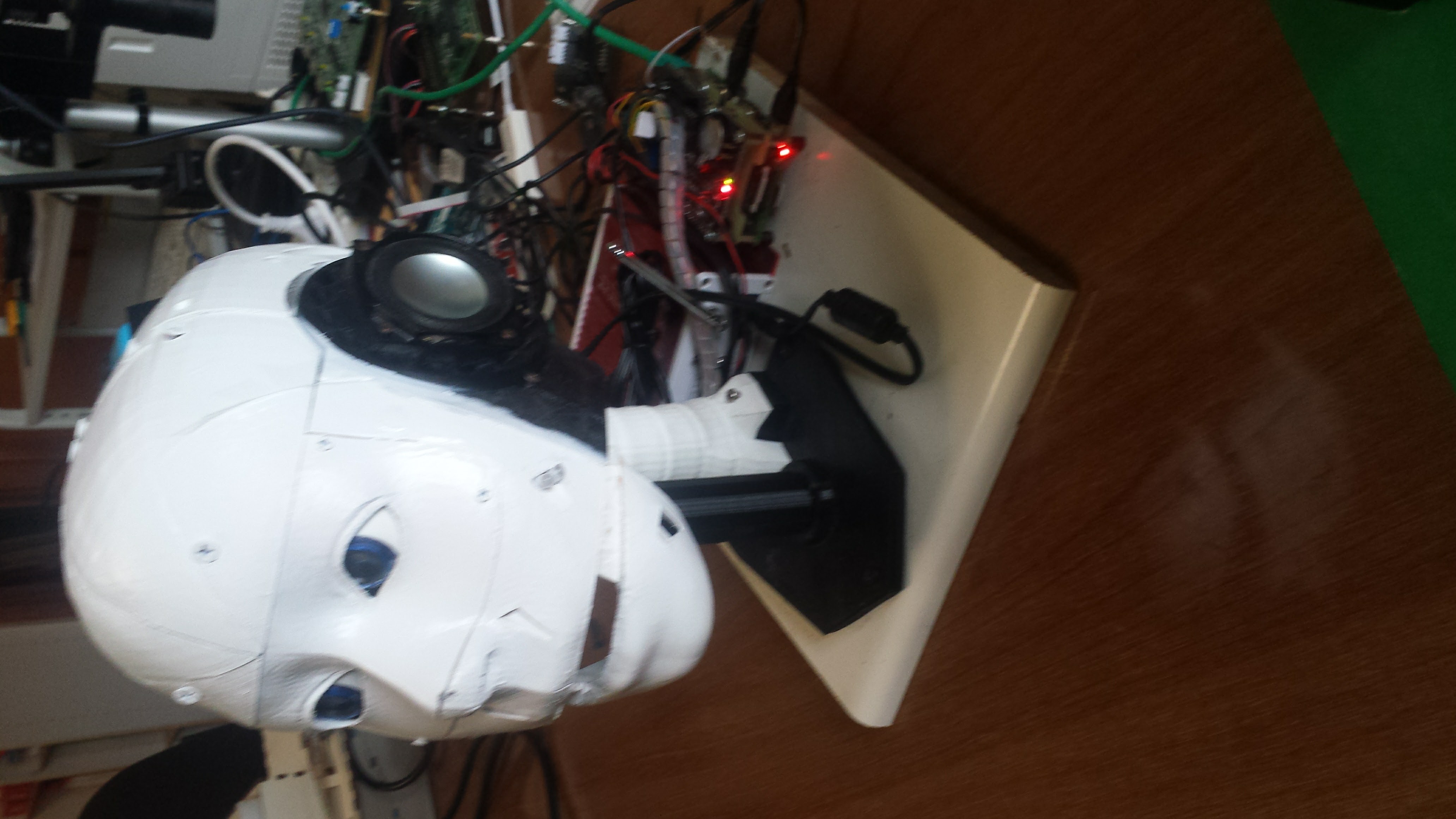 Einstein robotic head 3D print